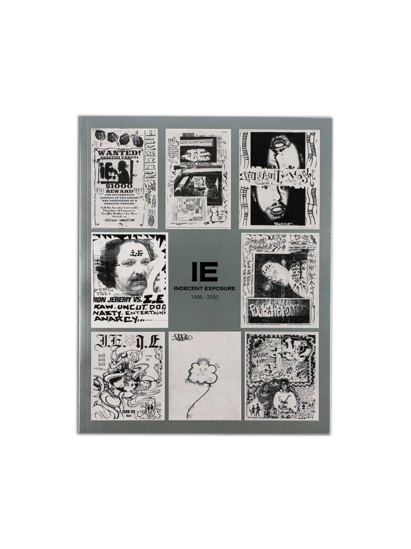 Indecent Exposure Book