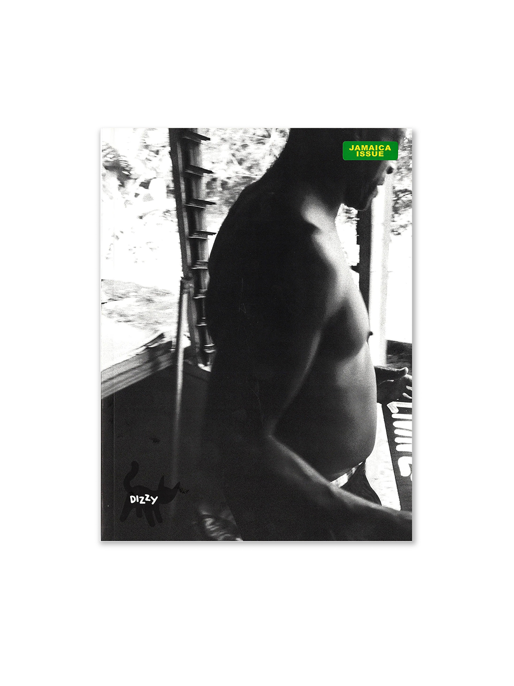 Dizzy Books Issue 8 Jamaica Edition